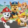 Paw Patrol Adventure Lunch Napkins - 16 Pack