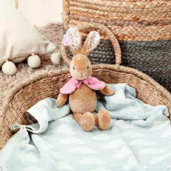 Peter Rabbit Signature Flopsy Bunny Plush 34cm -Bluey Sales Store JA000781 3